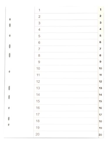 REG T PÄRM A4 PL 1-20 NUMR FLIK